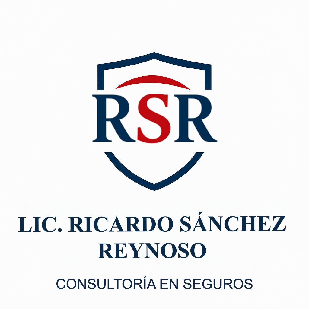 CONSULTORIA EN SEGUROS